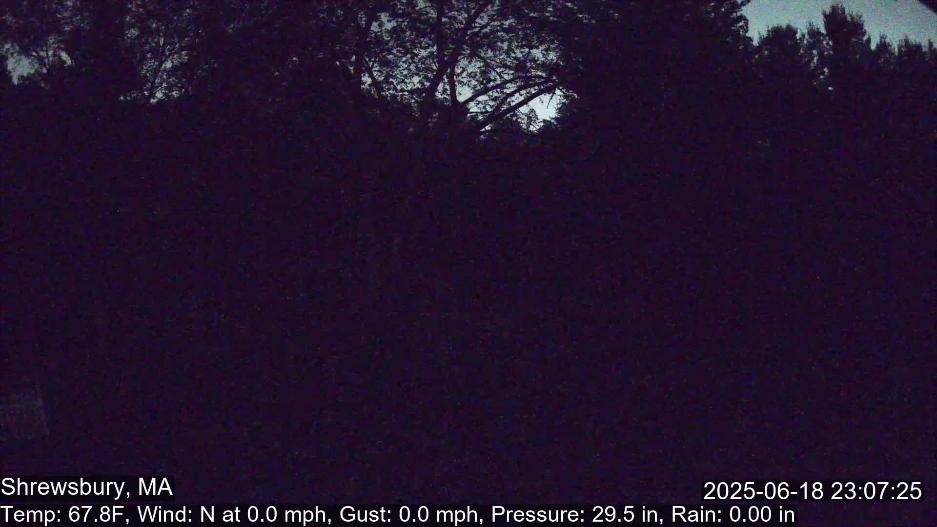 Scenic Pond and Trees Live Cam - Shrewsbury, Massachusetts , USA