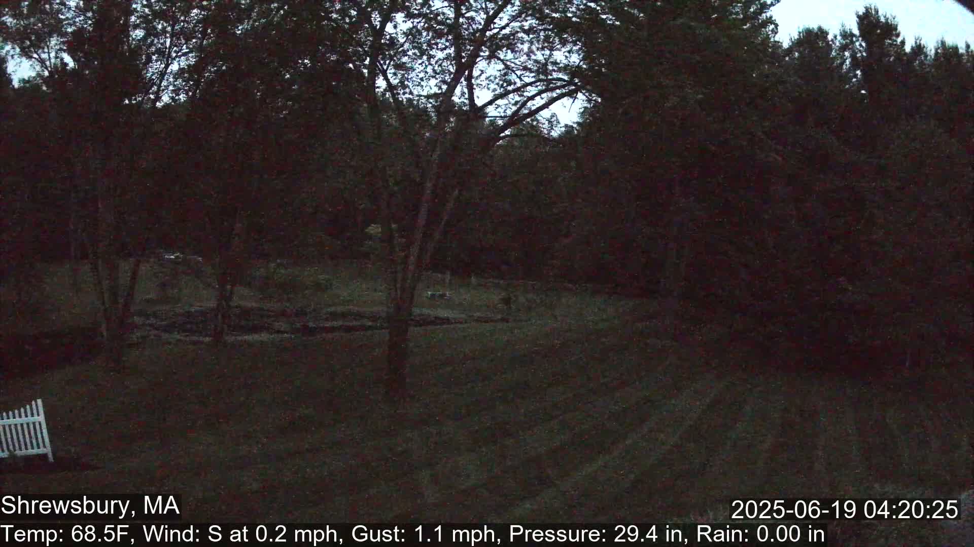 A dark, outdoor scene at twilight shows a grassy yard bordered by trees under a mostly clear sky.
