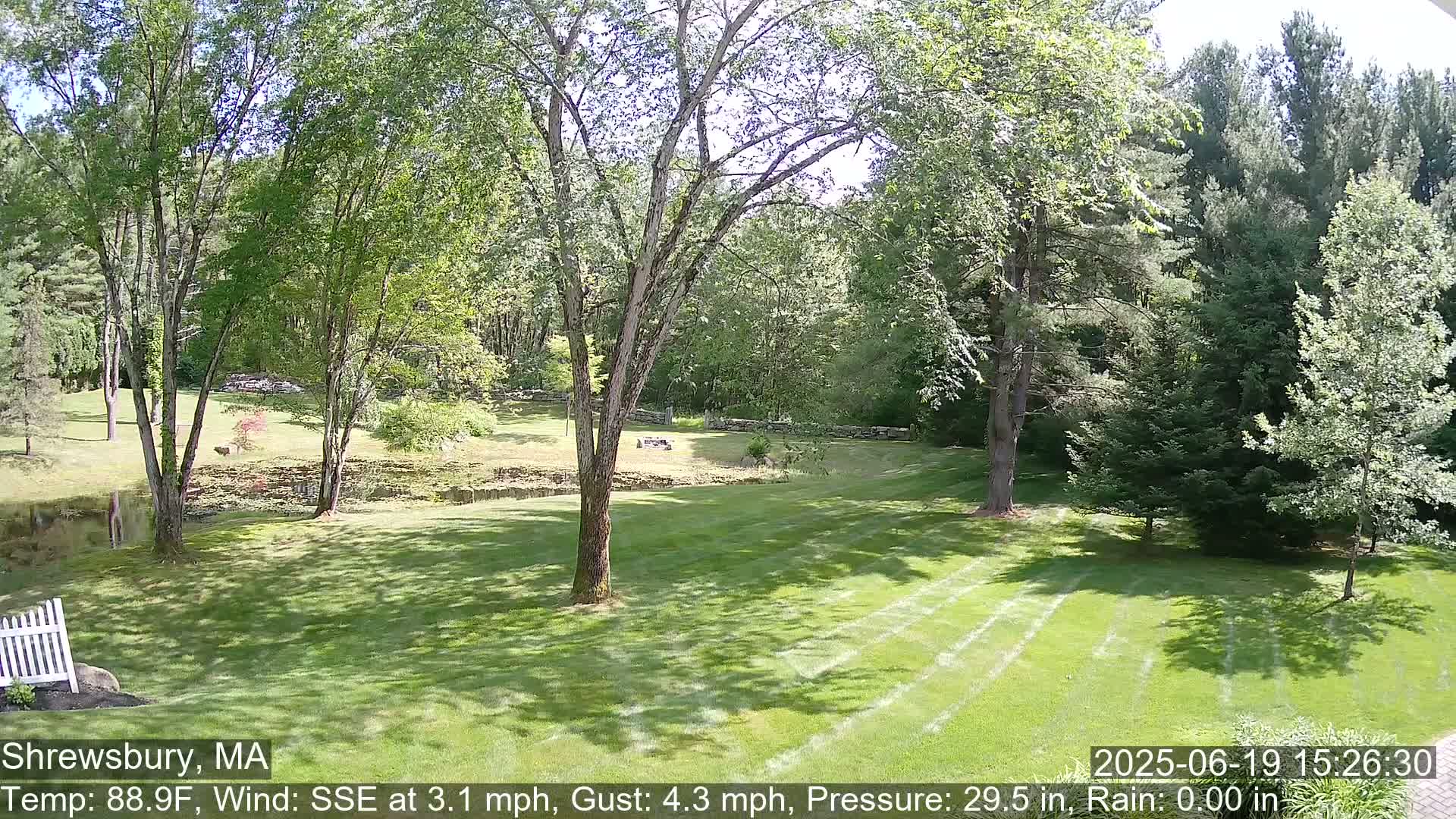 Scenic Pond and Trees Live Cam - Shrewsbury, Massachusetts , USA