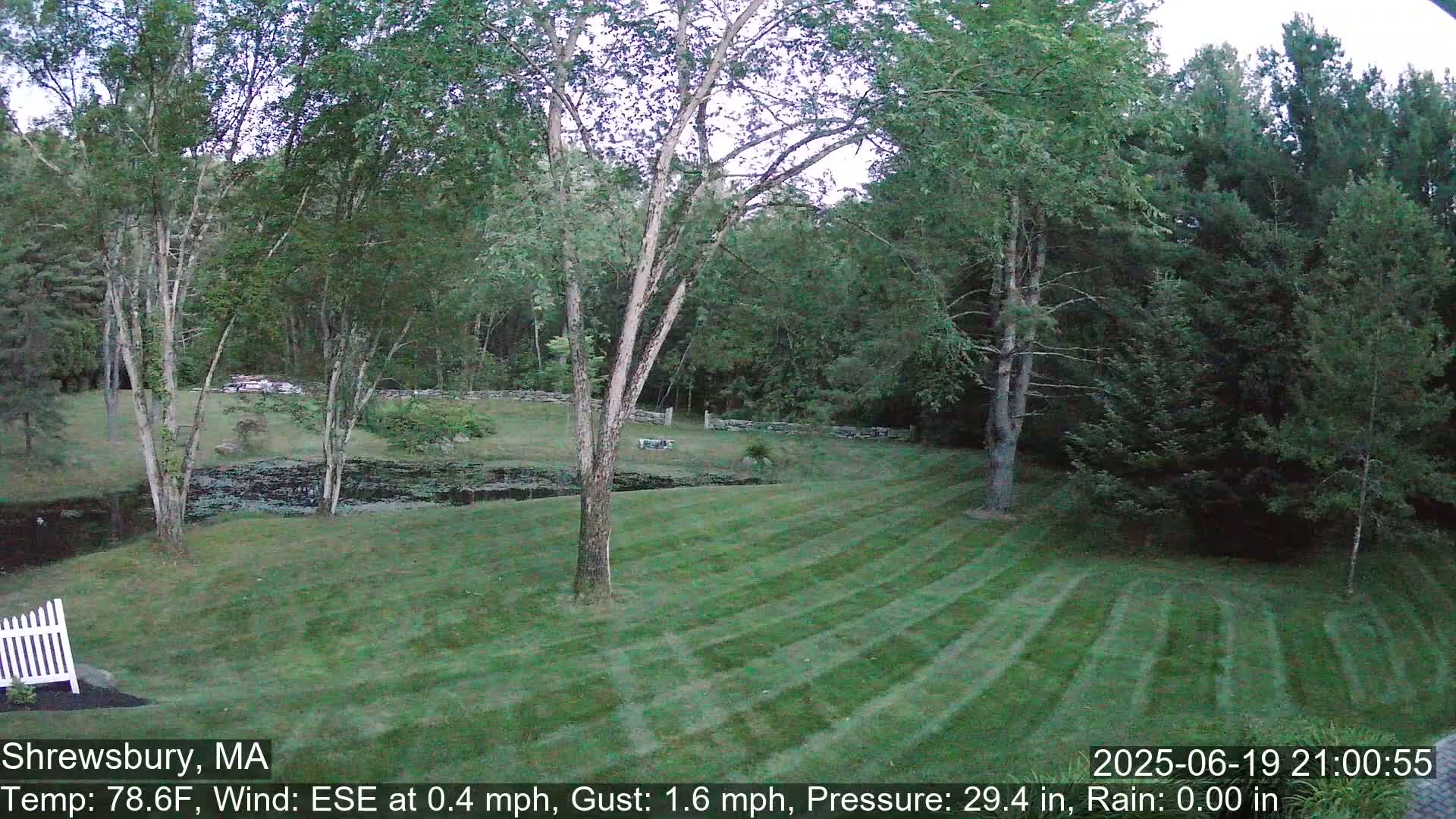 Scenic Pond and Trees Live Cam - Shrewsbury, Massachusetts , USA