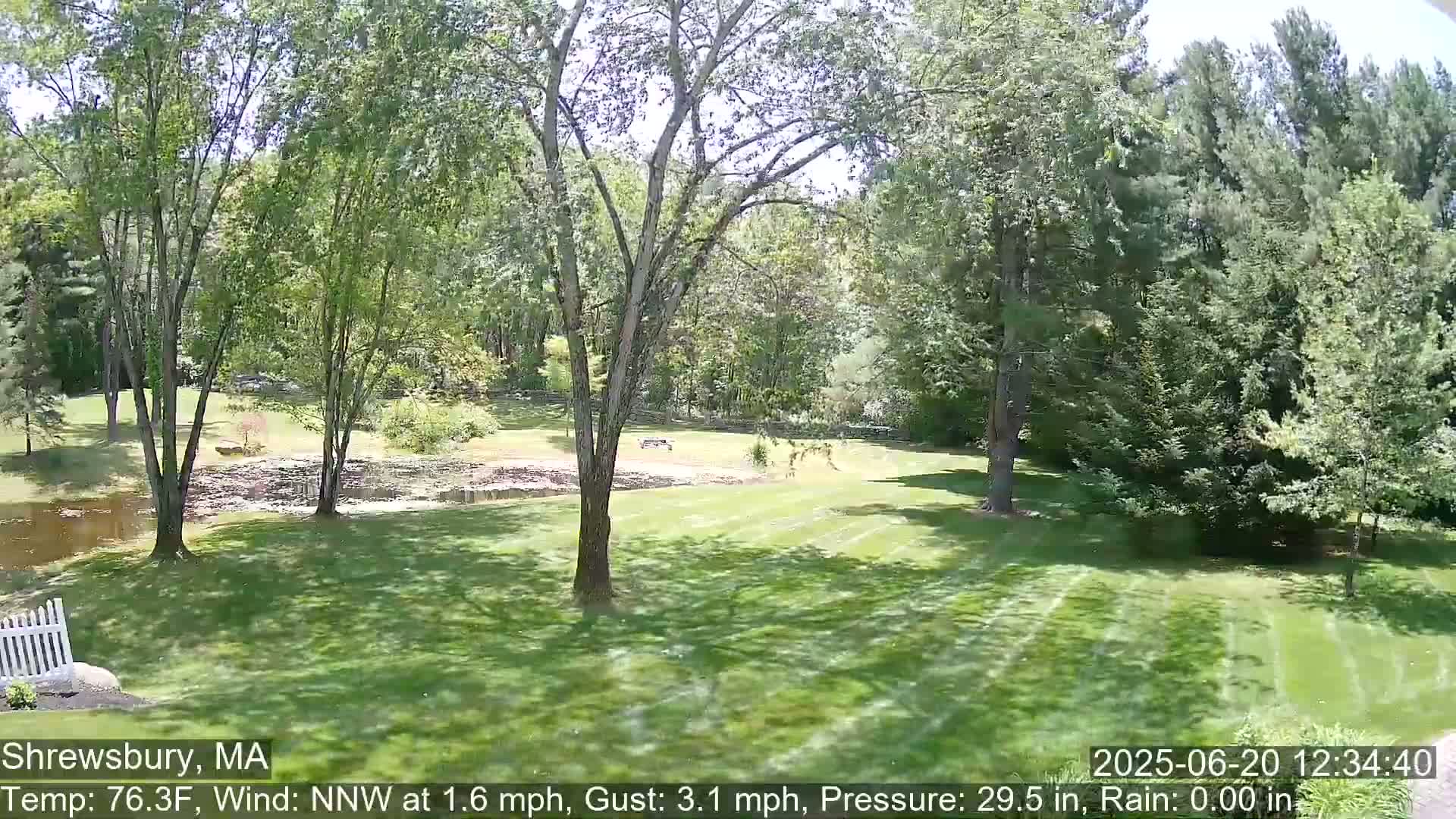 A sunny view of a grassy lawn, a pond, and lush green trees on a partly sunny day.