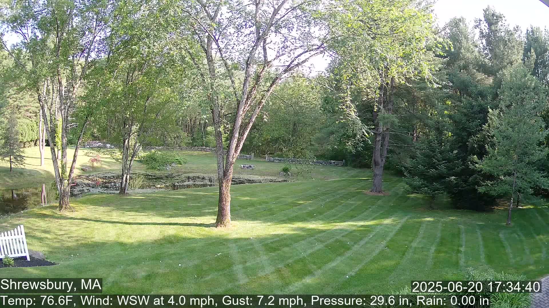 Scenic Pond and Trees Live Cam - Shrewsbury, Massachusetts , USA