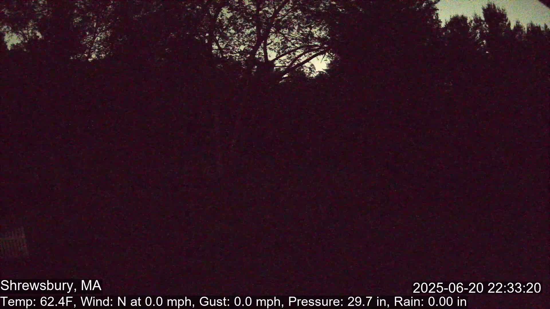 Scenic Pond and Trees Live Cam - Shrewsbury, Massachusetts , USA