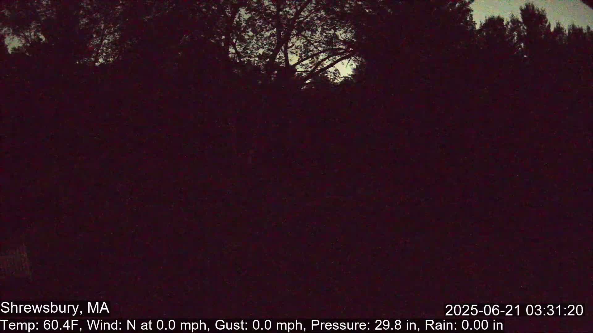 A dark, nighttime view of trees under a mostly clear sky.