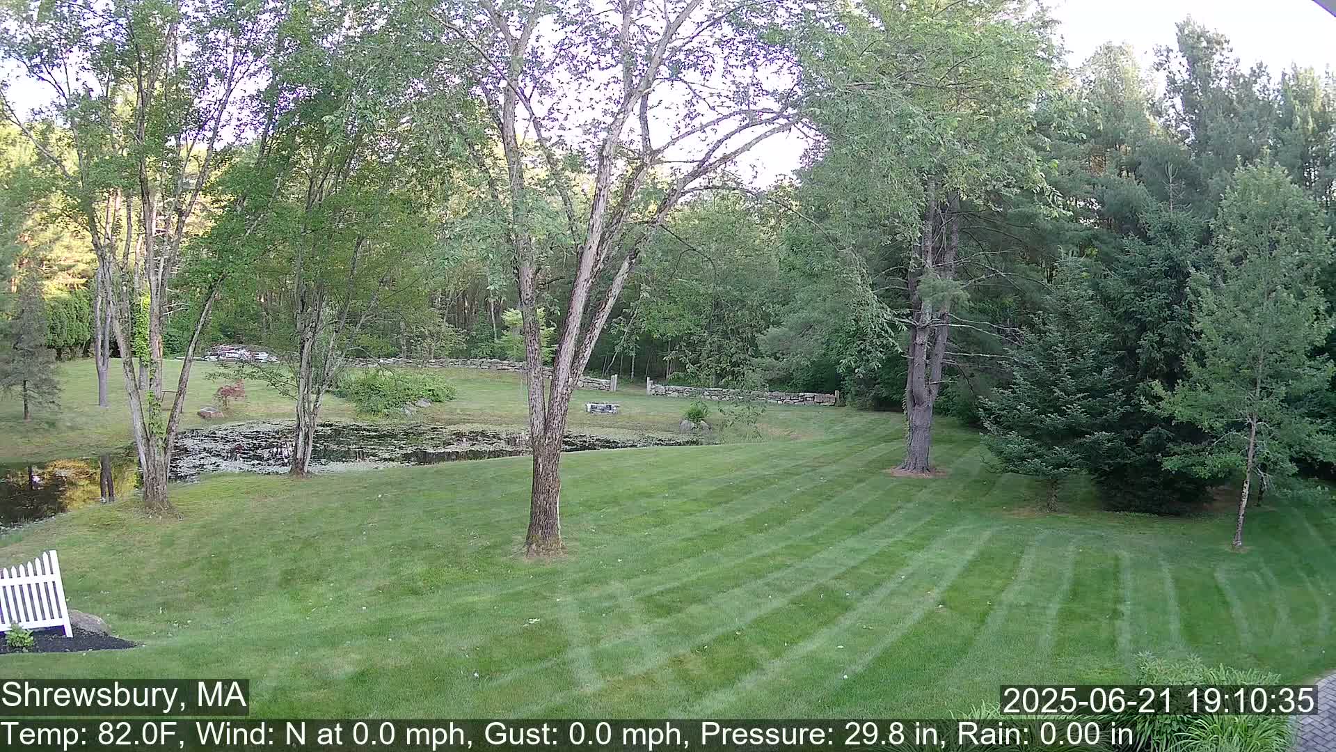 Scenic Pond and Trees Live Cam - Shrewsbury, Massachusetts , USA