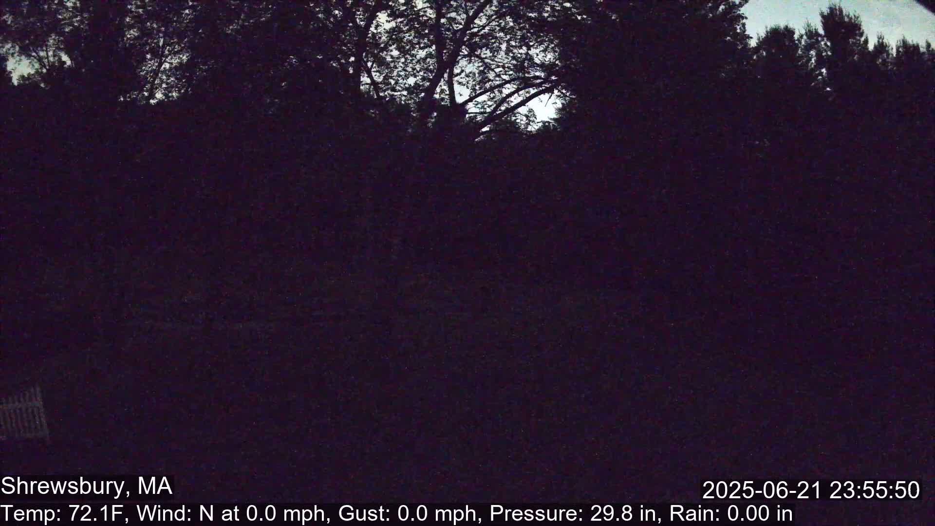 Scenic Pond and Trees Live Cam - Shrewsbury, Massachusetts , USA