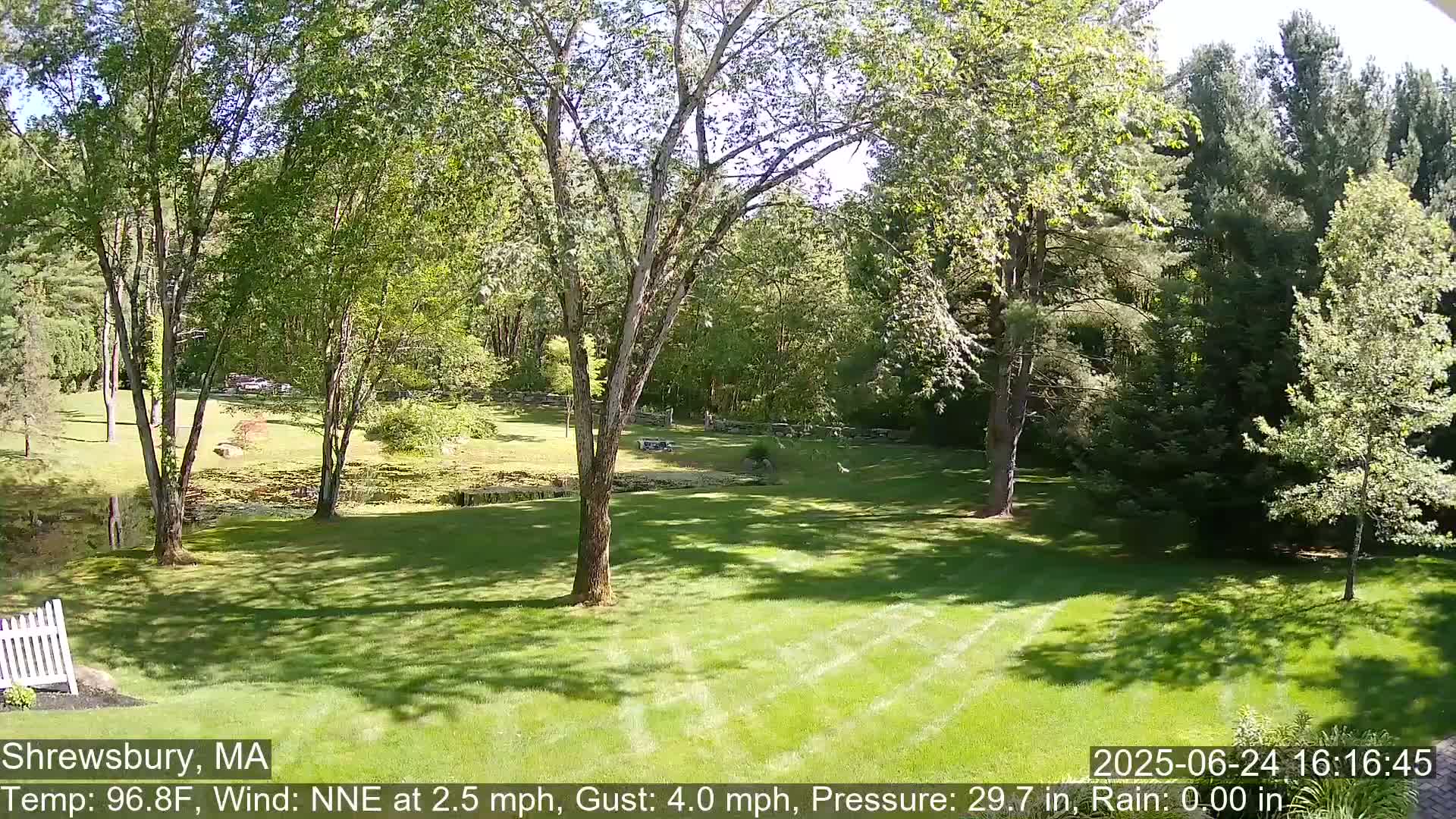 Scenic Pond and Trees Live Cam - Shrewsbury, Massachusetts , USA