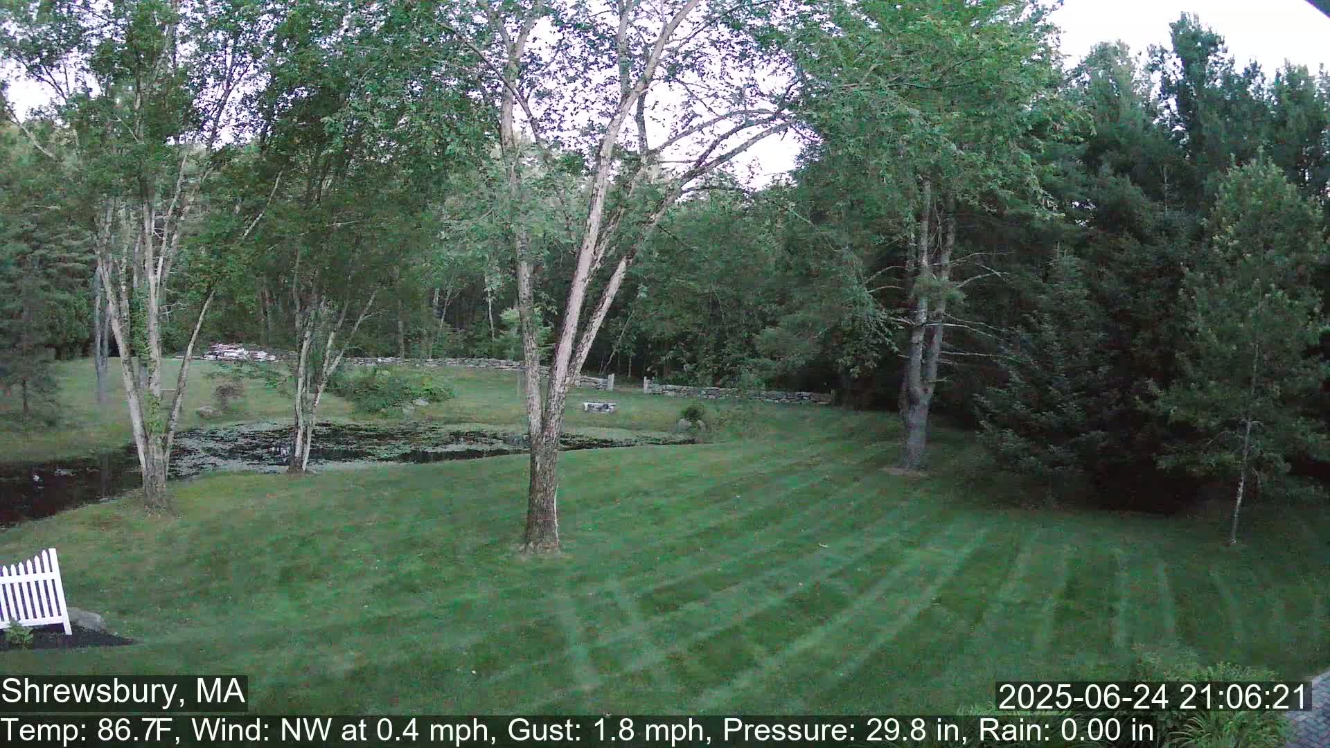 Scenic Pond and Trees Live Cam - Shrewsbury, Massachusetts , USA