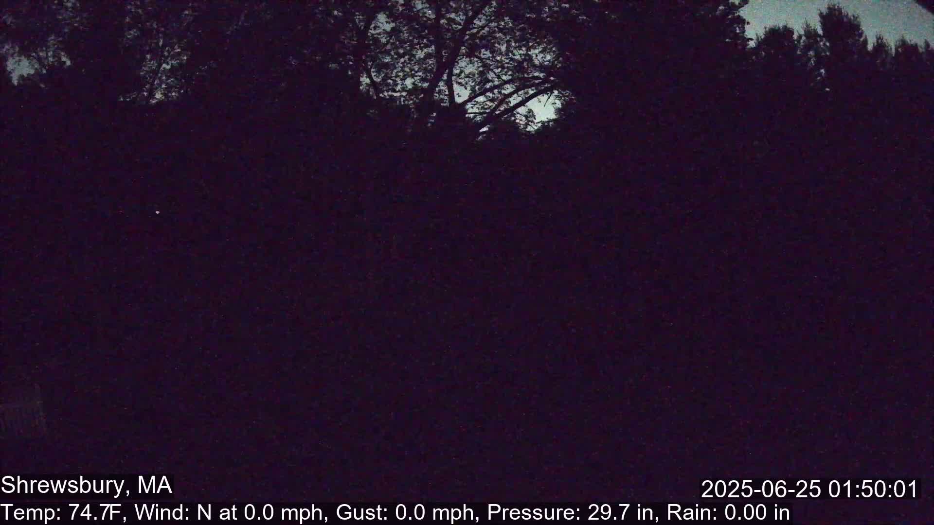 Scenic Pond and Trees Live Cam - Shrewsbury, Massachusetts , USA