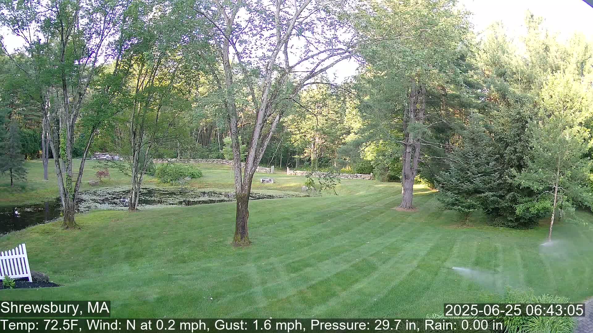 Scenic Pond and Trees Live Cam - Shrewsbury, Massachusetts , USA