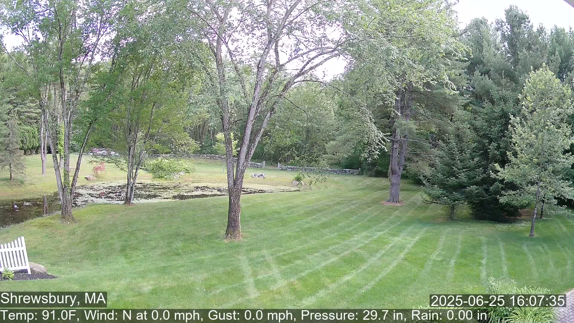 Scenic Pond and Trees Live Cam - Shrewsbury, Massachusetts , USA