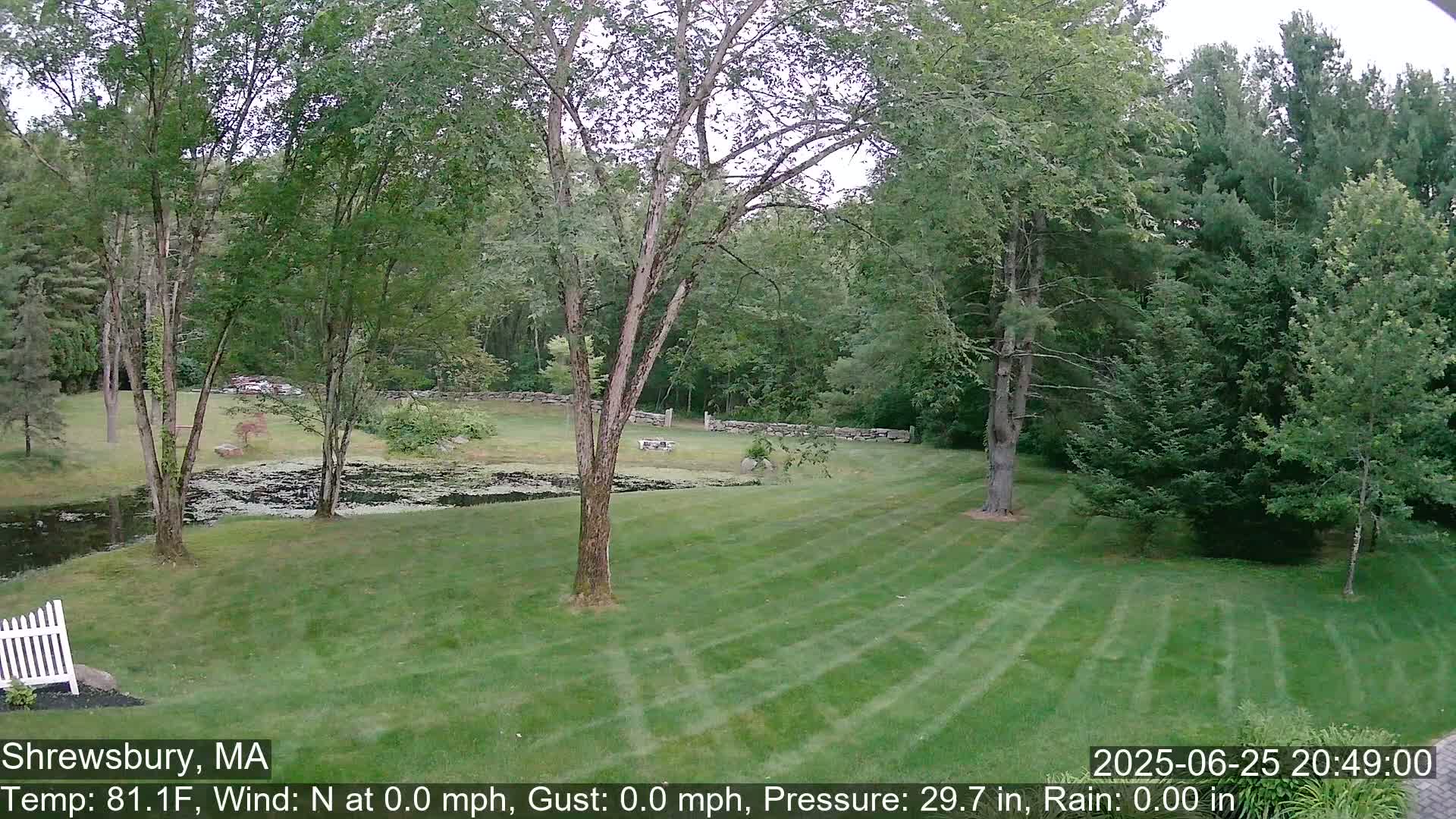 Scenic Pond and Trees Live Cam - Shrewsbury, Massachusetts , USA