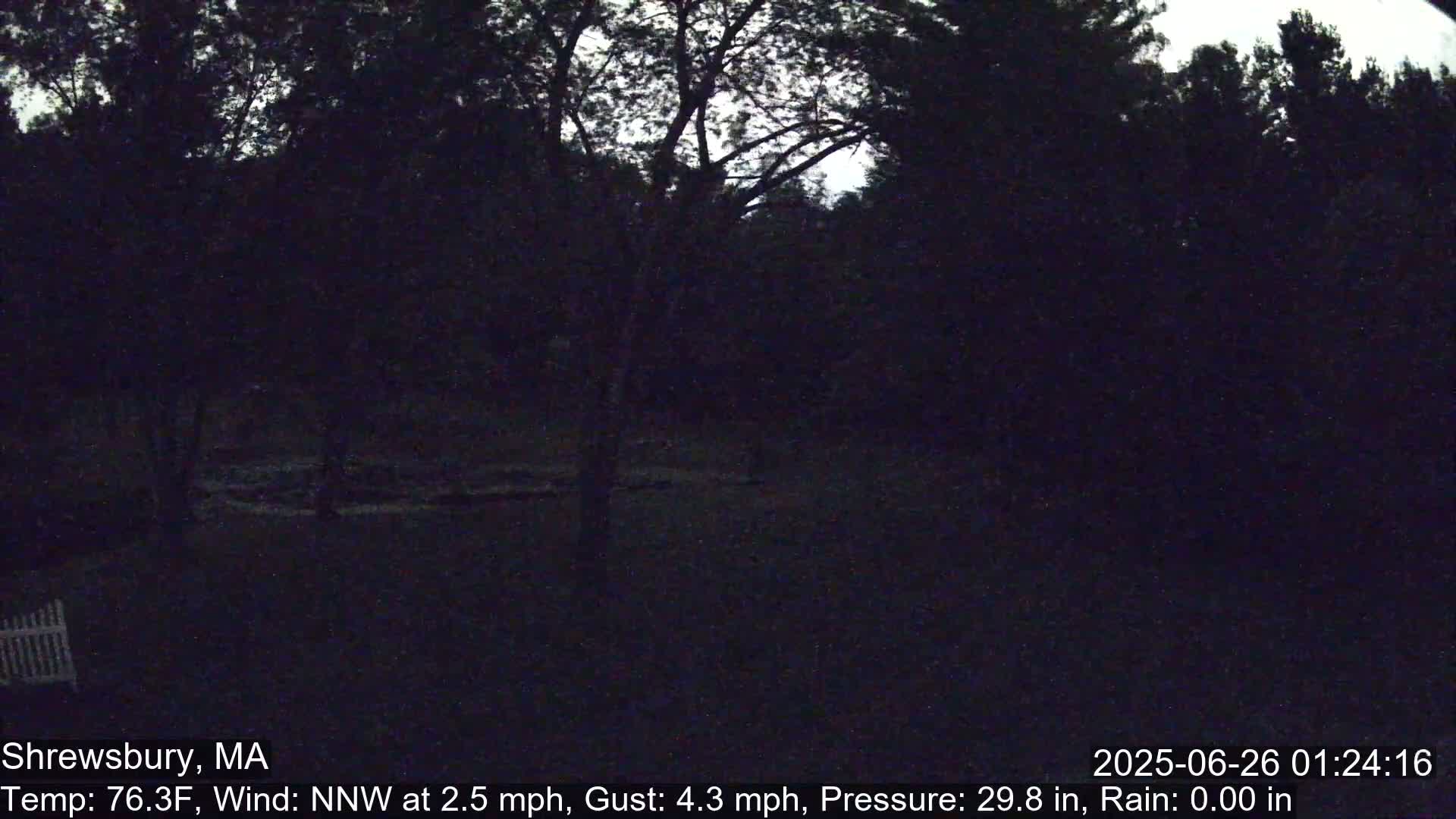Scenic Pond and Trees Live Cam - Shrewsbury, Massachusetts , USA