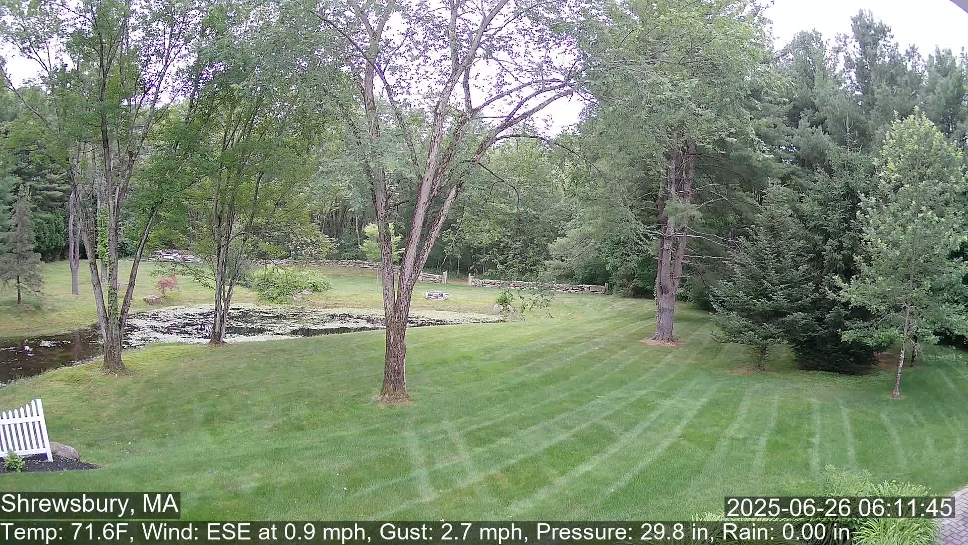 Scenic Pond and Trees Live Cam - Shrewsbury, Massachusetts , USA