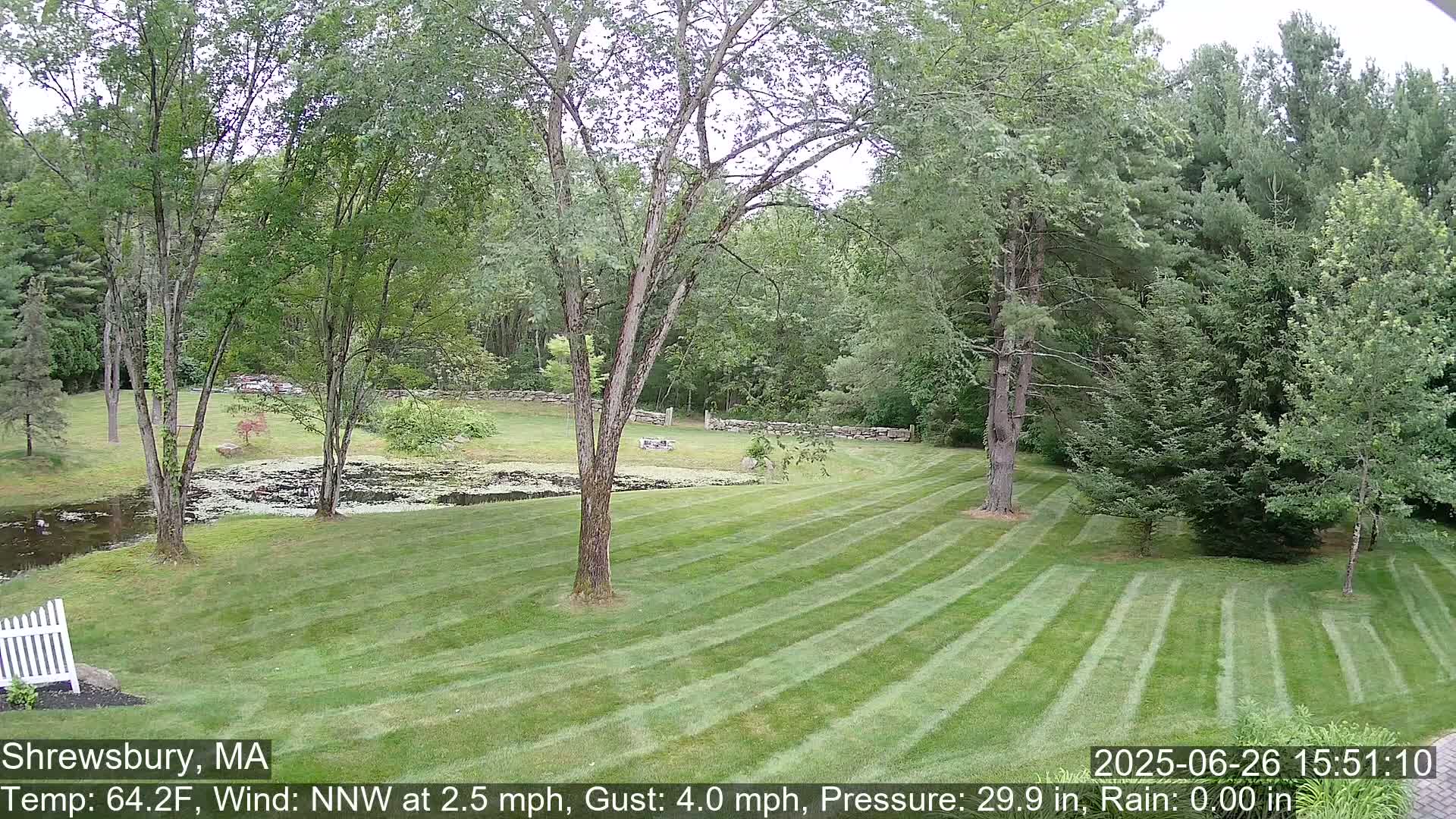 Scenic Pond and Trees Live Cam - Shrewsbury, Massachusetts , USA