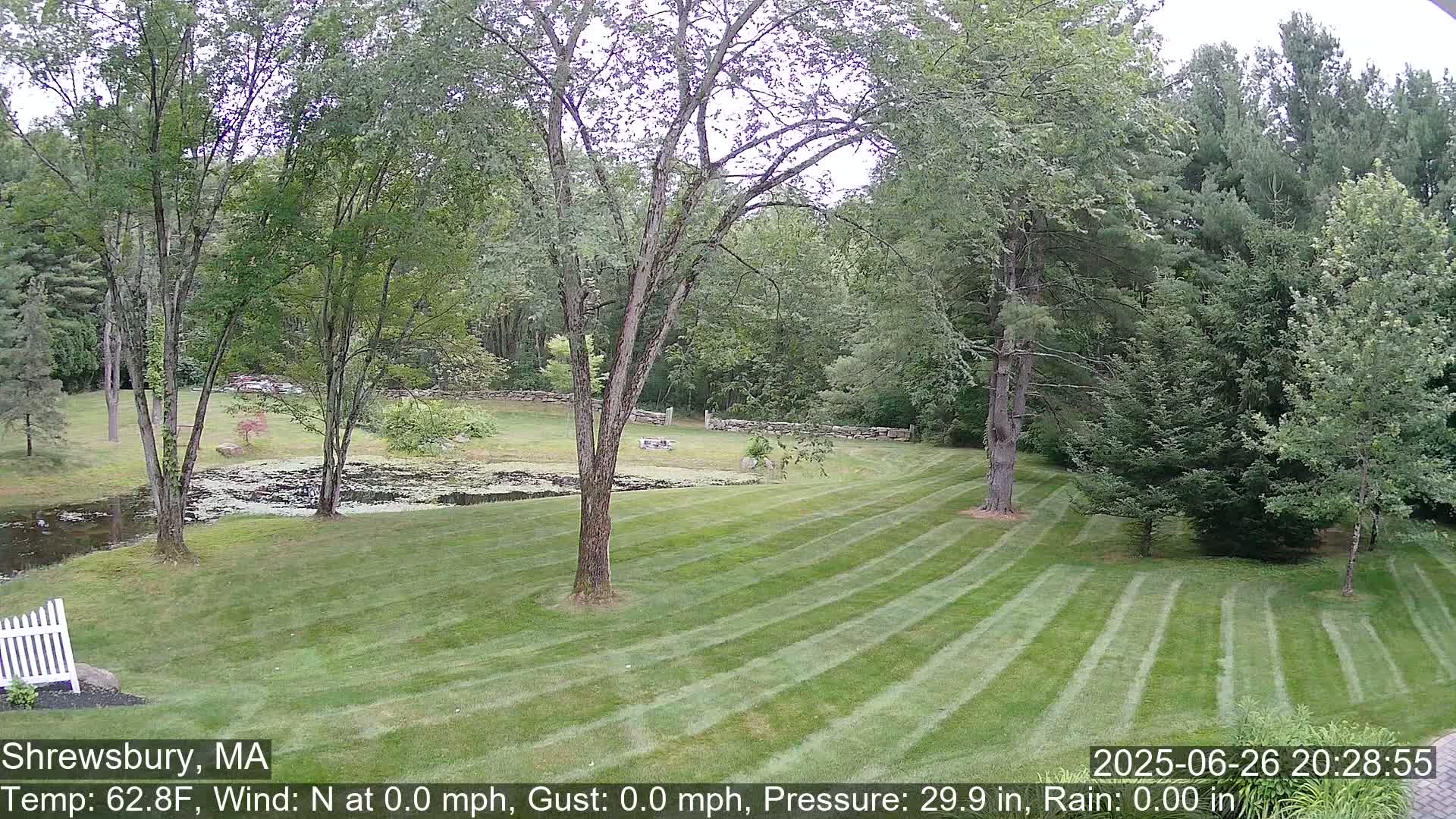 Scenic Pond and Trees Live Cam - Shrewsbury, Massachusetts , USA
