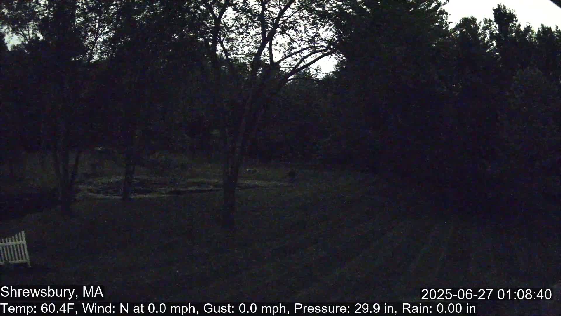 Scenic Pond and Trees Live Cam - Shrewsbury, Massachusetts , USA