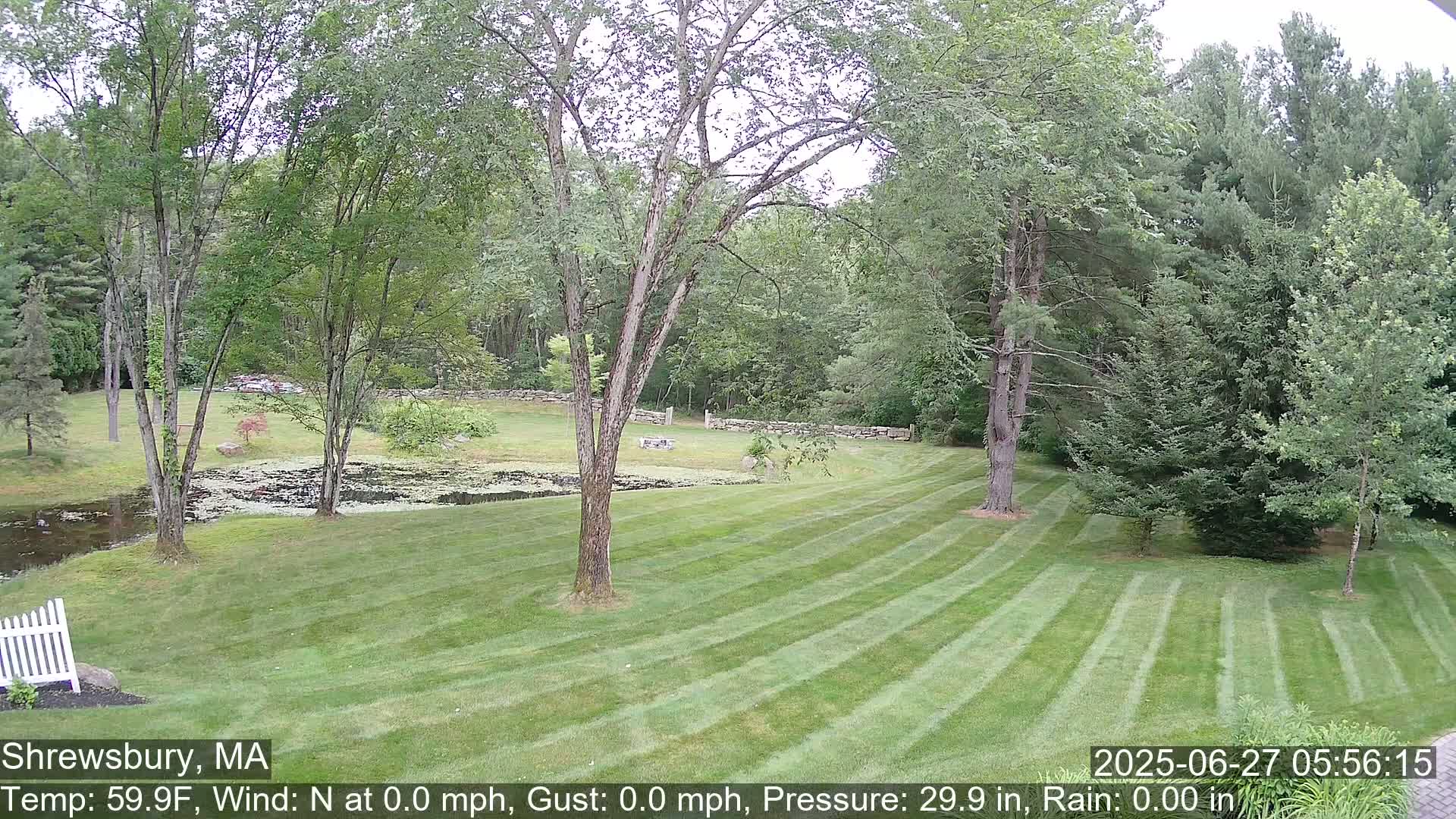 Scenic Pond and Trees Live Cam - Shrewsbury, Massachusetts , USA