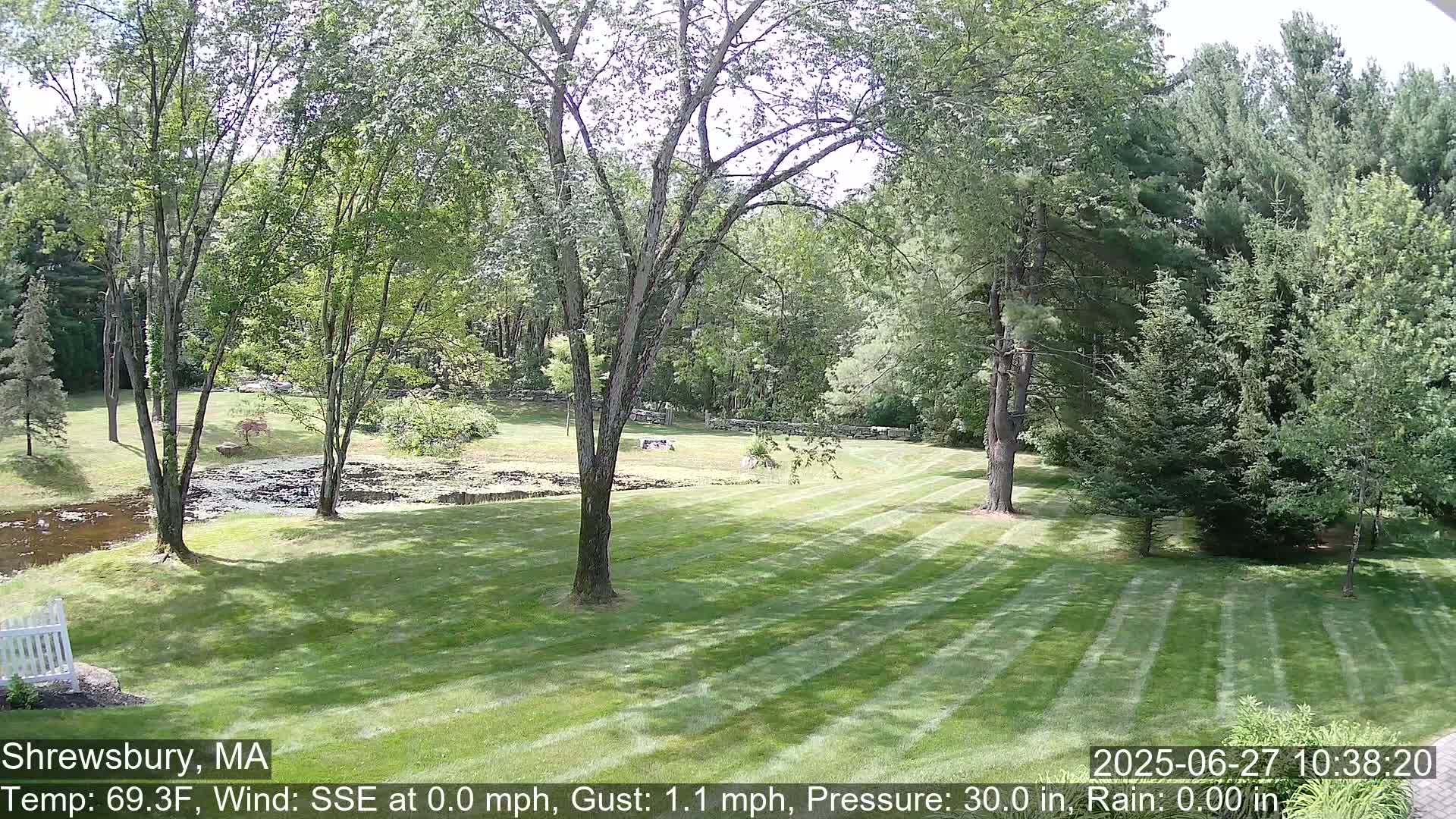 Scenic Pond and Trees Live Cam - Shrewsbury, Massachusetts , USA