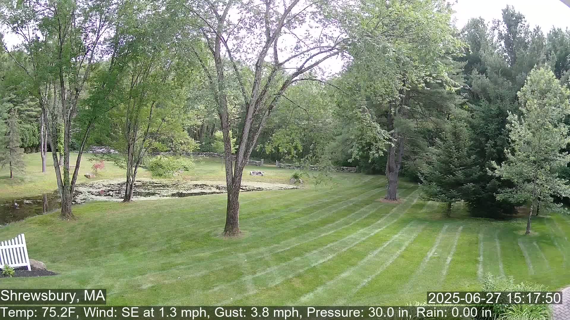 Scenic Pond and Trees Live Cam - Shrewsbury, Massachusetts , USA