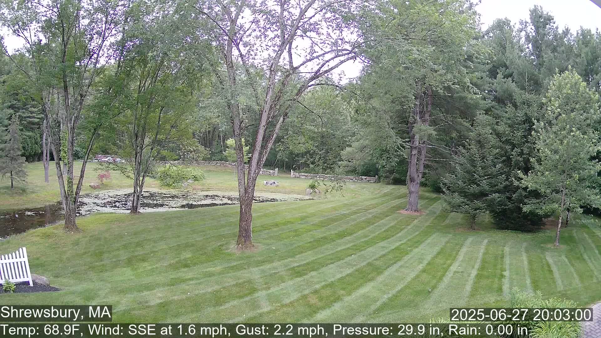 Scenic Pond and Trees Live Cam - Shrewsbury, Massachusetts , USA