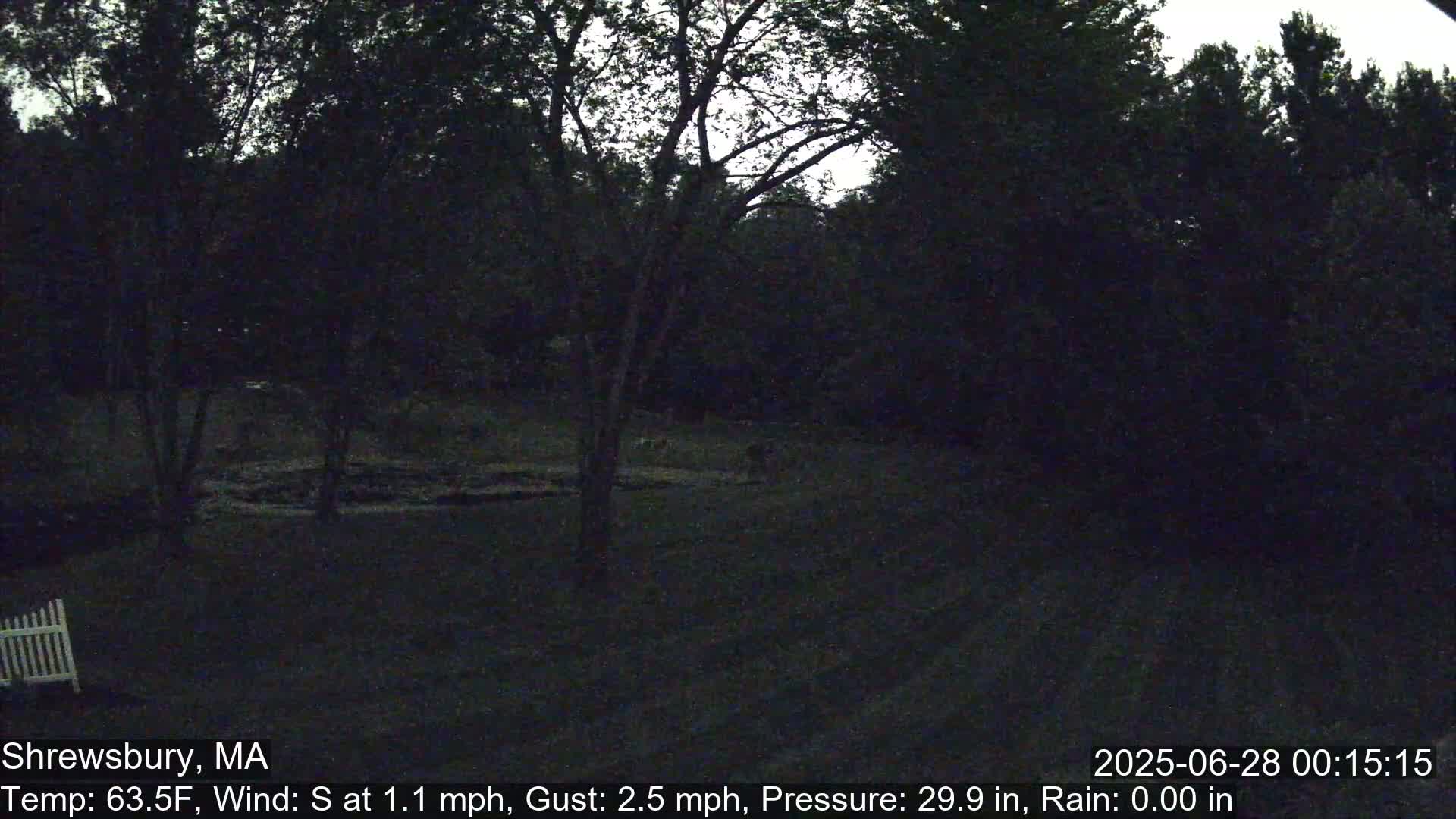 Scenic Pond and Trees Live Cam - Shrewsbury, Massachusetts , USA
