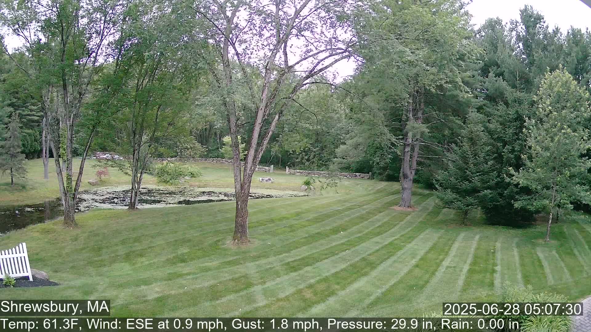 Scenic Pond and Trees Live Cam - Shrewsbury, Massachusetts , USA