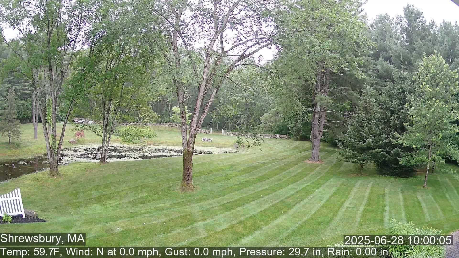 Scenic Pond and Trees Live Cam - Shrewsbury, Massachusetts , USA