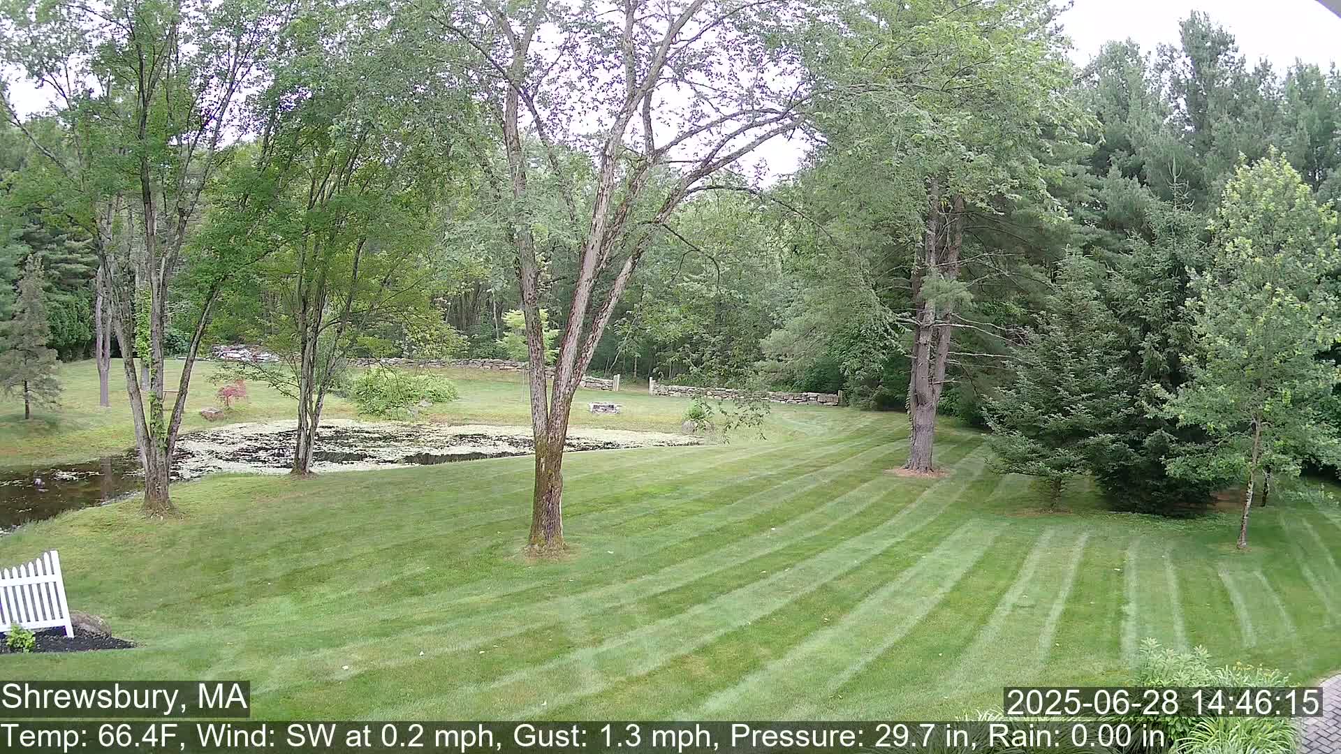 Scenic Pond and Trees Live Cam - Shrewsbury, Massachusetts , USA