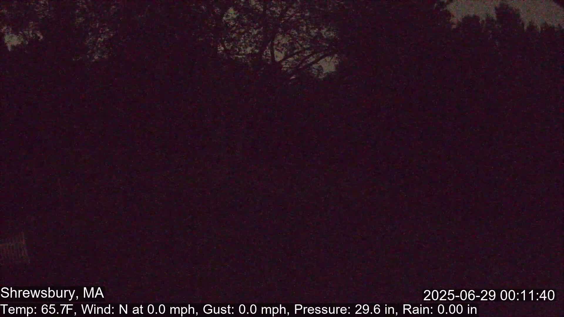 Scenic Pond and Trees Live Cam - Shrewsbury, Massachusetts , USA