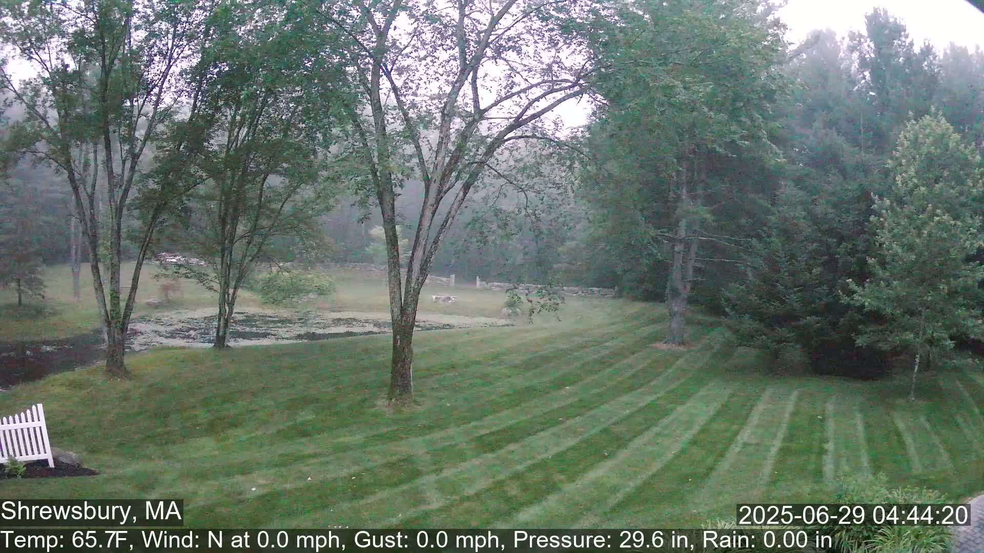 Scenic Pond and Trees Live Cam - Shrewsbury, Massachusetts , USA