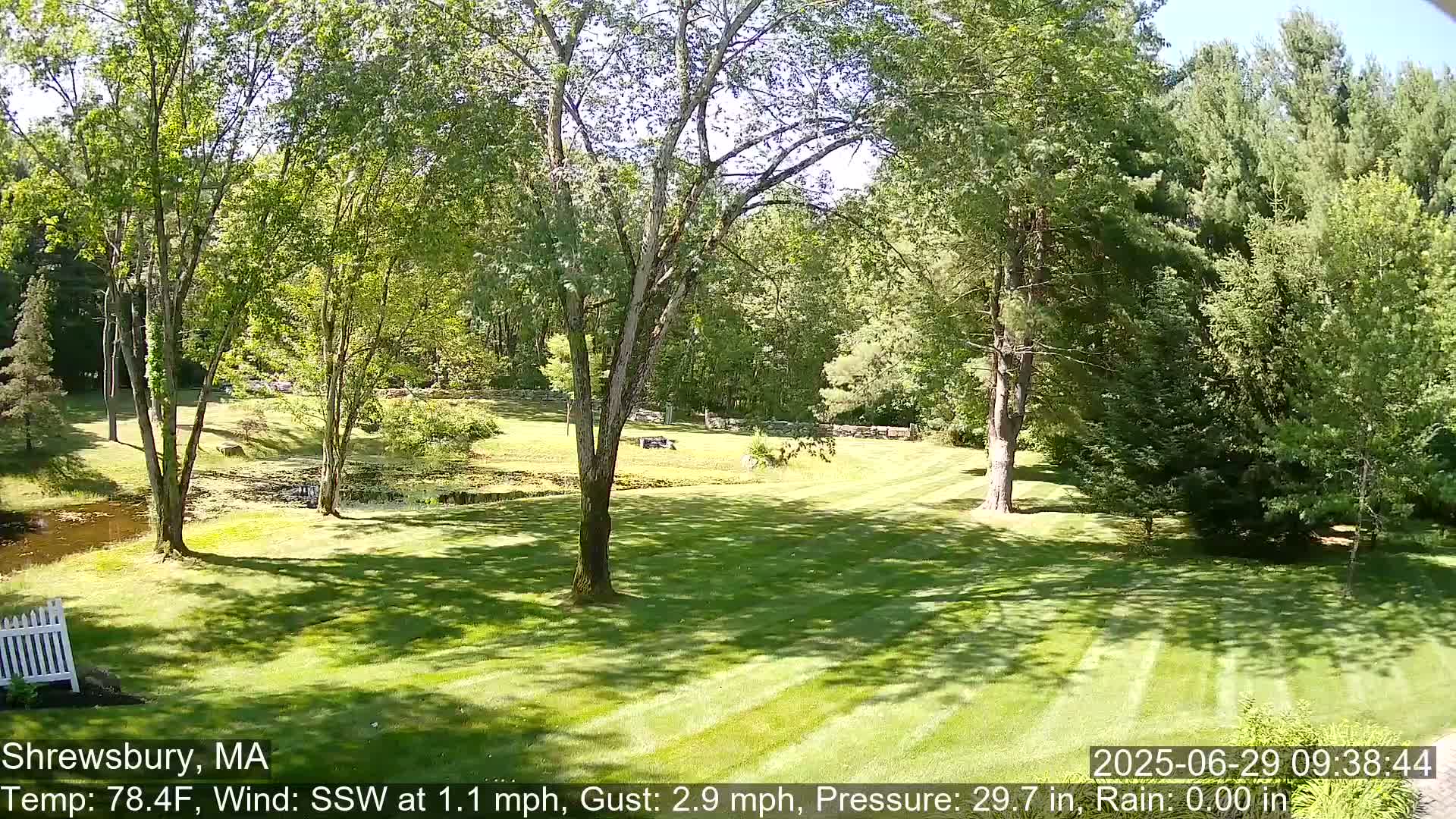 Scenic Pond and Trees Live Cam - Shrewsbury, Massachusetts , USA