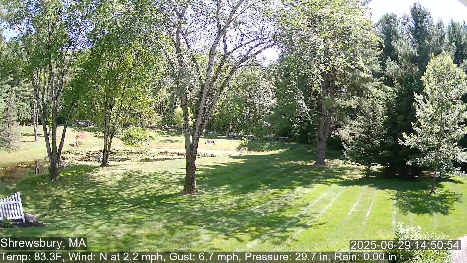 Scenic Pond and Trees Live Cam - Shrewsbury, Massachusetts , USA