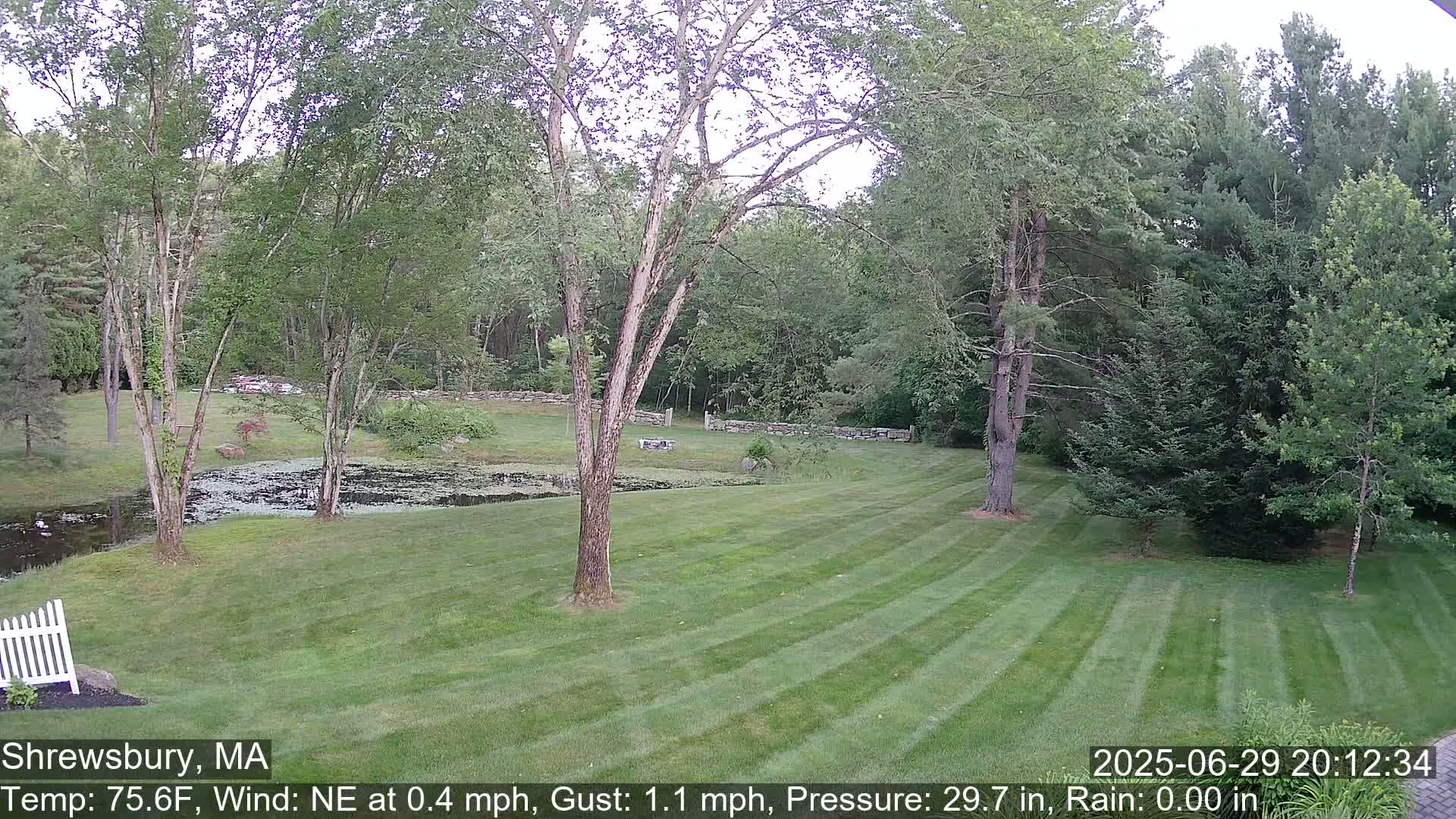 Scenic Pond and Trees Live Cam - Shrewsbury, Massachusetts , USA