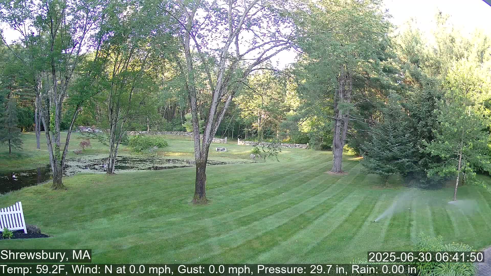 Scenic Pond and Trees Live Cam - Shrewsbury, Massachusetts , USA