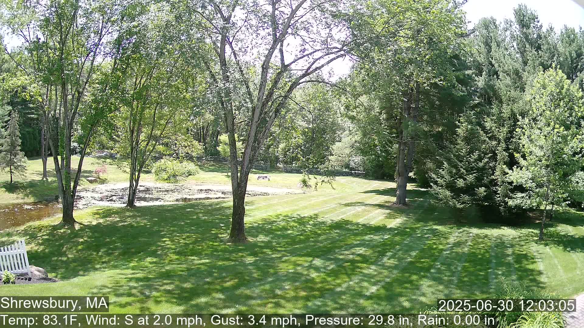 Scenic Pond and Trees Live Cam - Shrewsbury, Massachusetts , USA