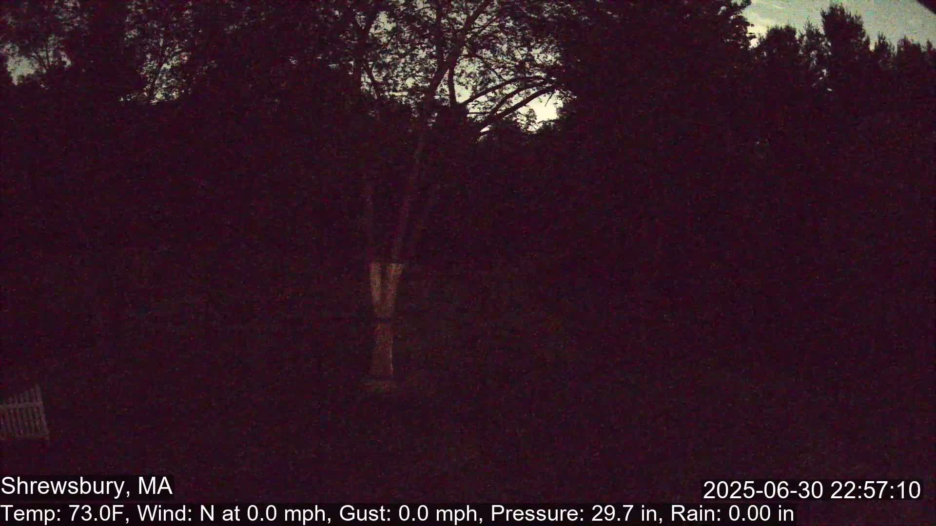 Scenic Pond and Trees Live Cam - Shrewsbury, Massachusetts , USA