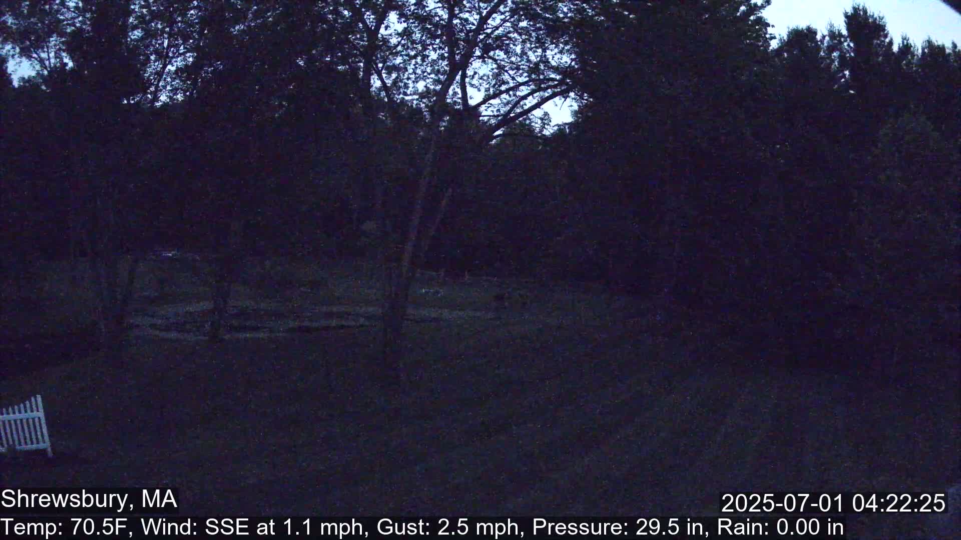 Scenic Pond and Trees Live Cam - Shrewsbury, Massachusetts , USA