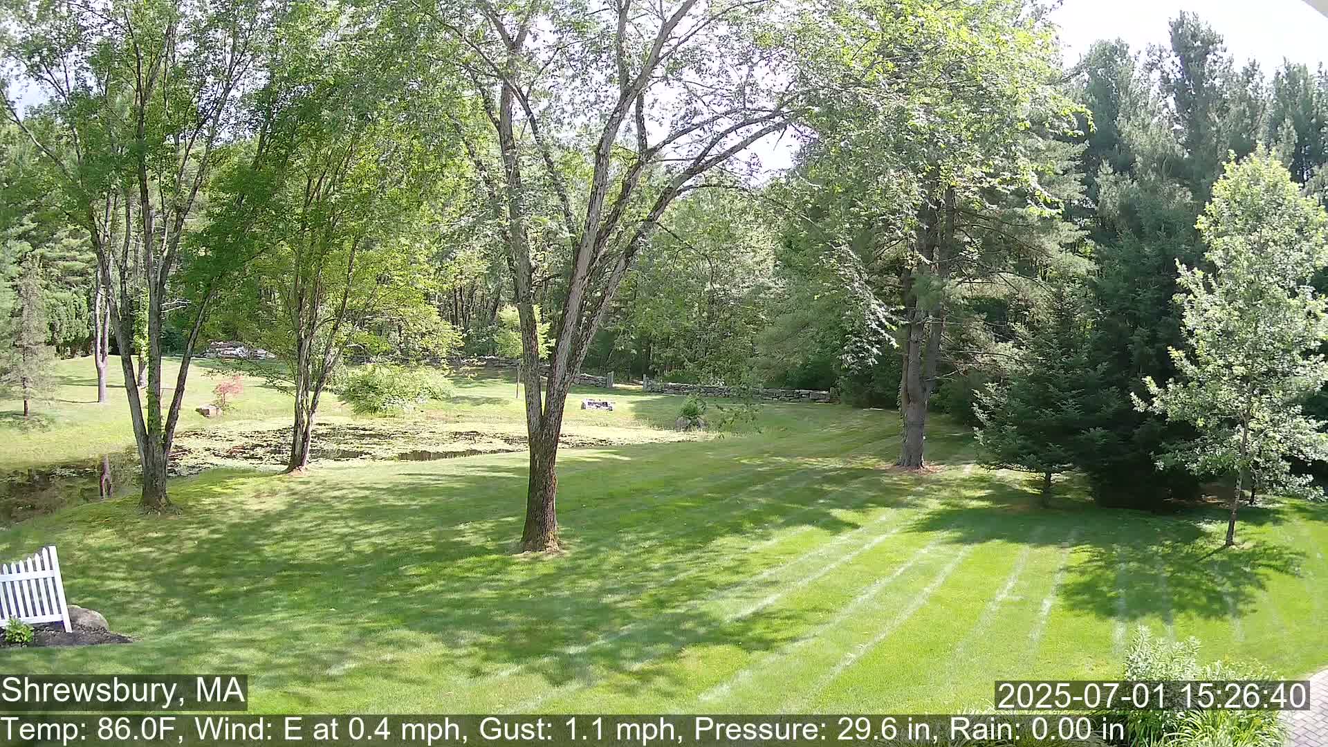 Scenic Pond and Trees Live Cam - Shrewsbury, Massachusetts , USA