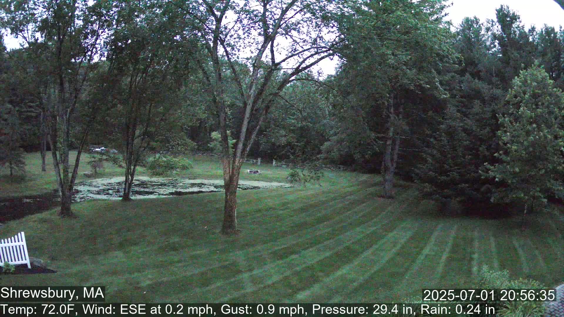Scenic Pond and Trees Live Cam - Shrewsbury, Massachusetts , USA