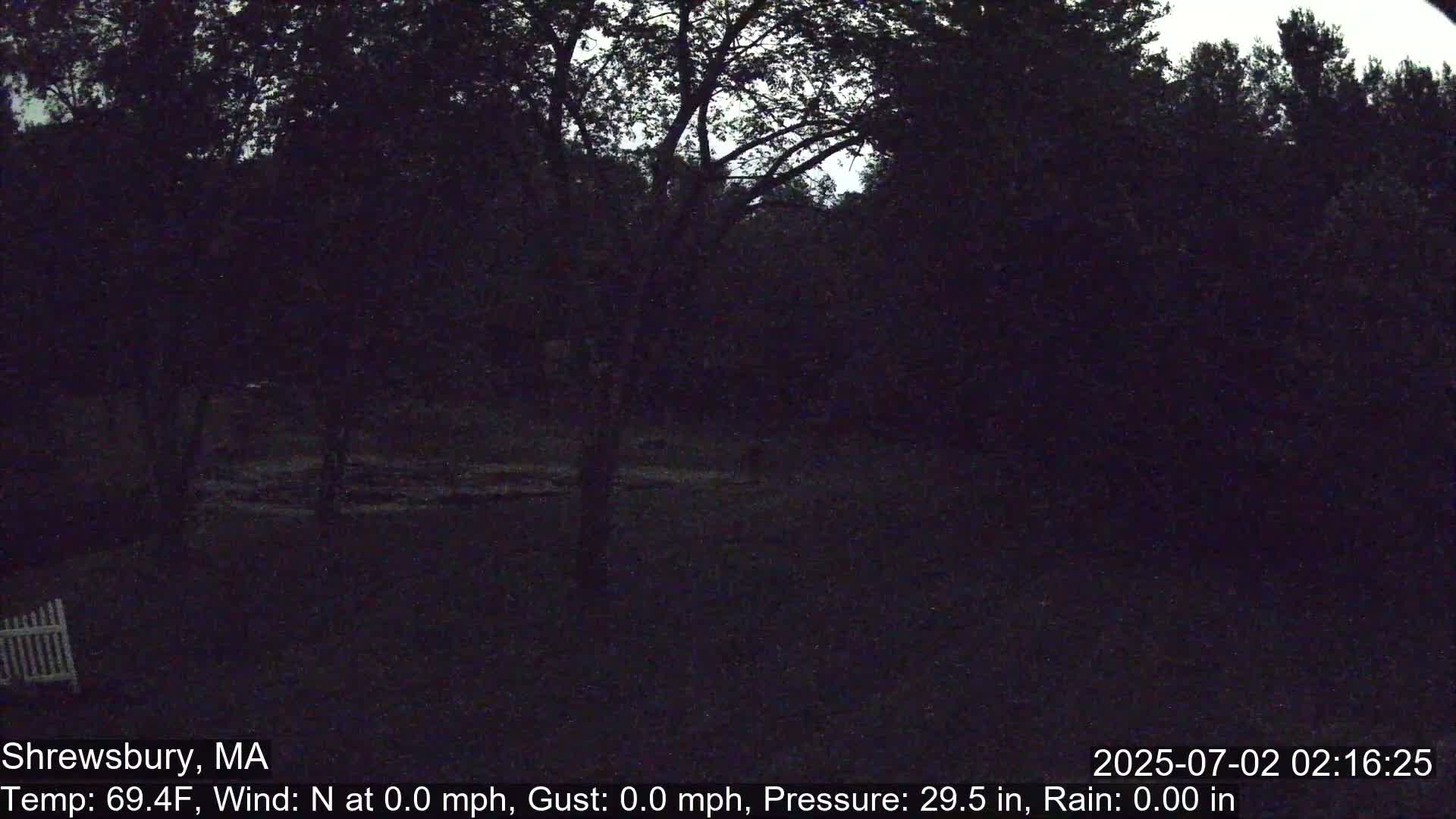 Scenic Pond and Trees Live Cam - Shrewsbury, Massachusetts , USA