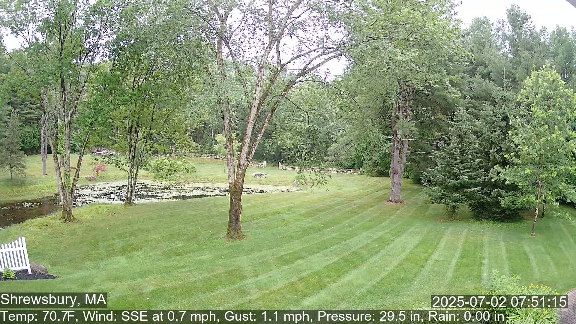 Scenic Pond and Trees Live Cam - Shrewsbury, Massachusetts , USA