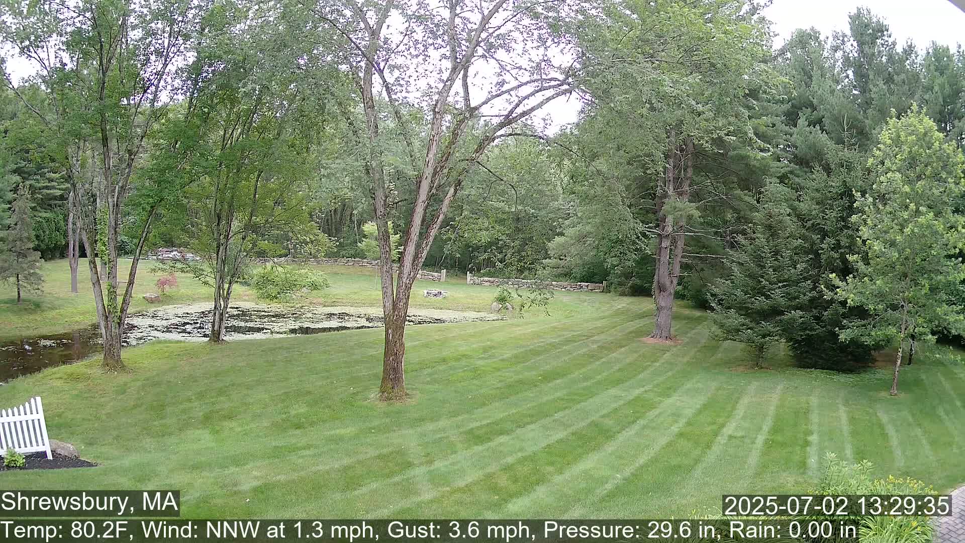 Scenic Pond and Trees Live Cam - Shrewsbury, Massachusetts , USA