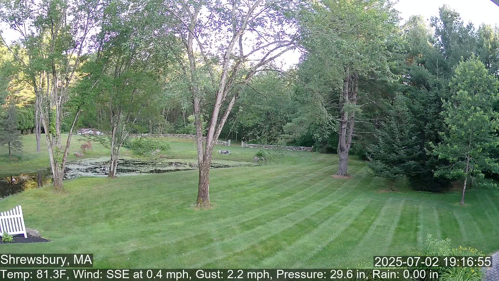 Scenic Pond and Trees Live Cam - Shrewsbury, Massachusetts , USA