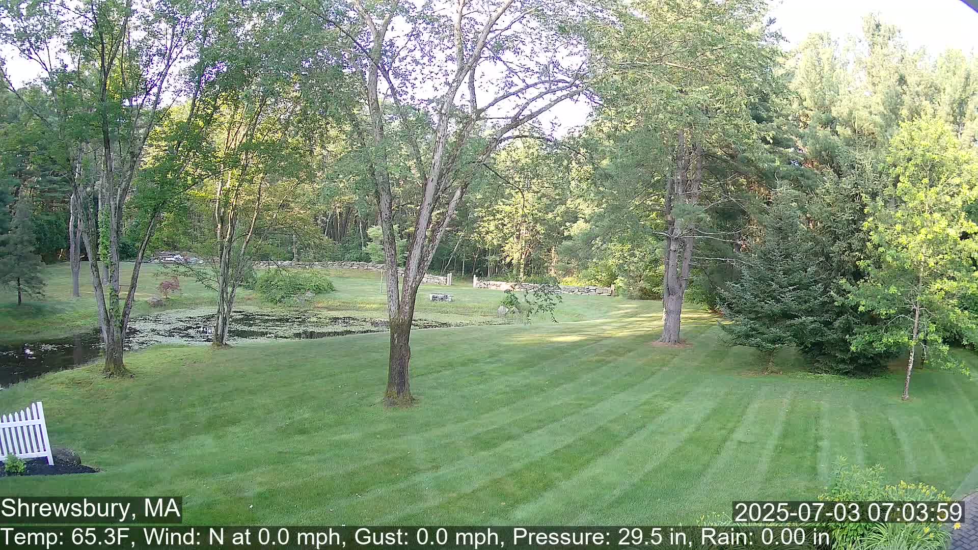 Scenic Pond and Trees Live Cam - Shrewsbury, Massachusetts , USA