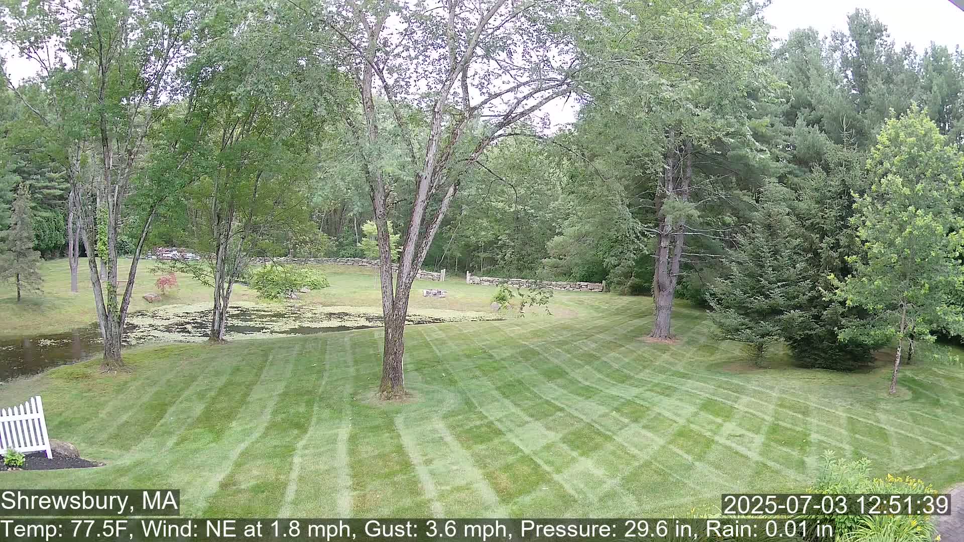 Scenic Pond and Trees Live Cam - Shrewsbury, Massachusetts , USA