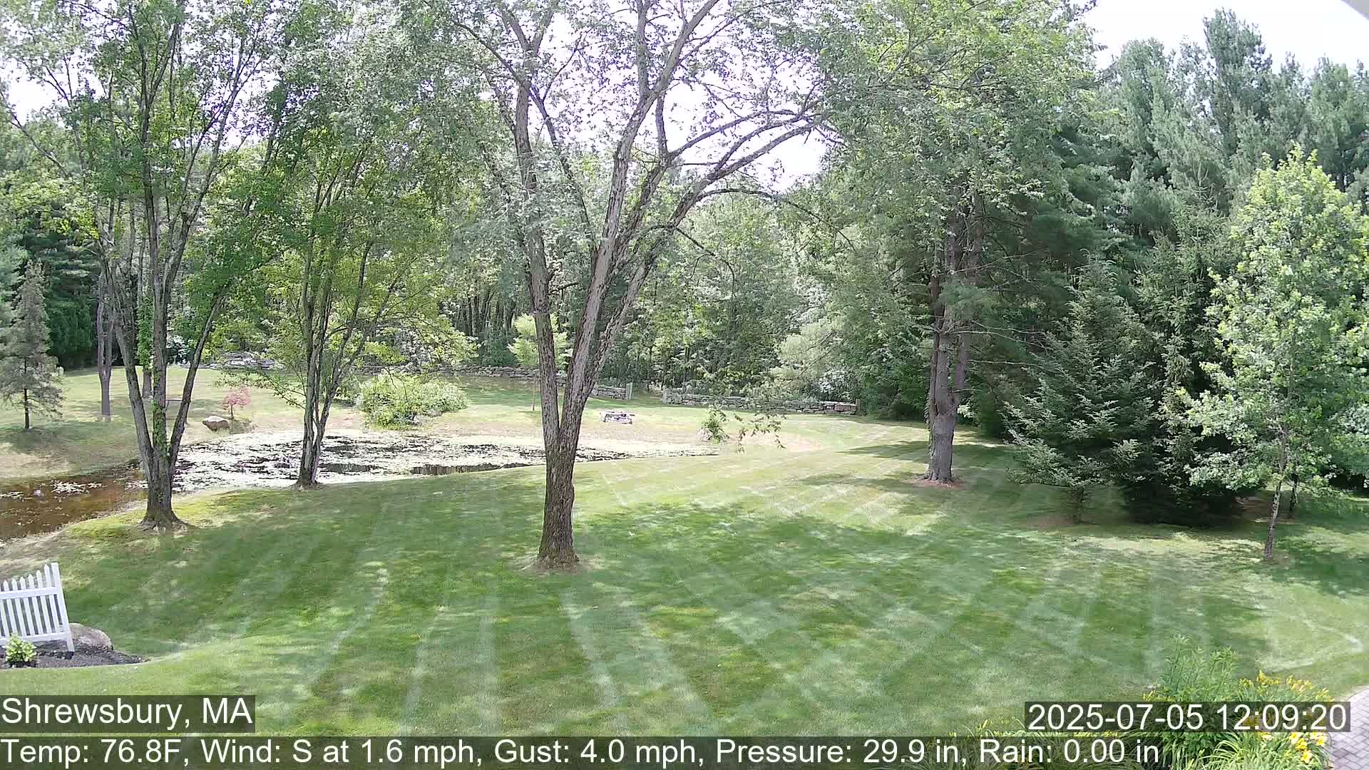 Scenic Pond and Trees Live Cam - Shrewsbury, Massachusetts , USA