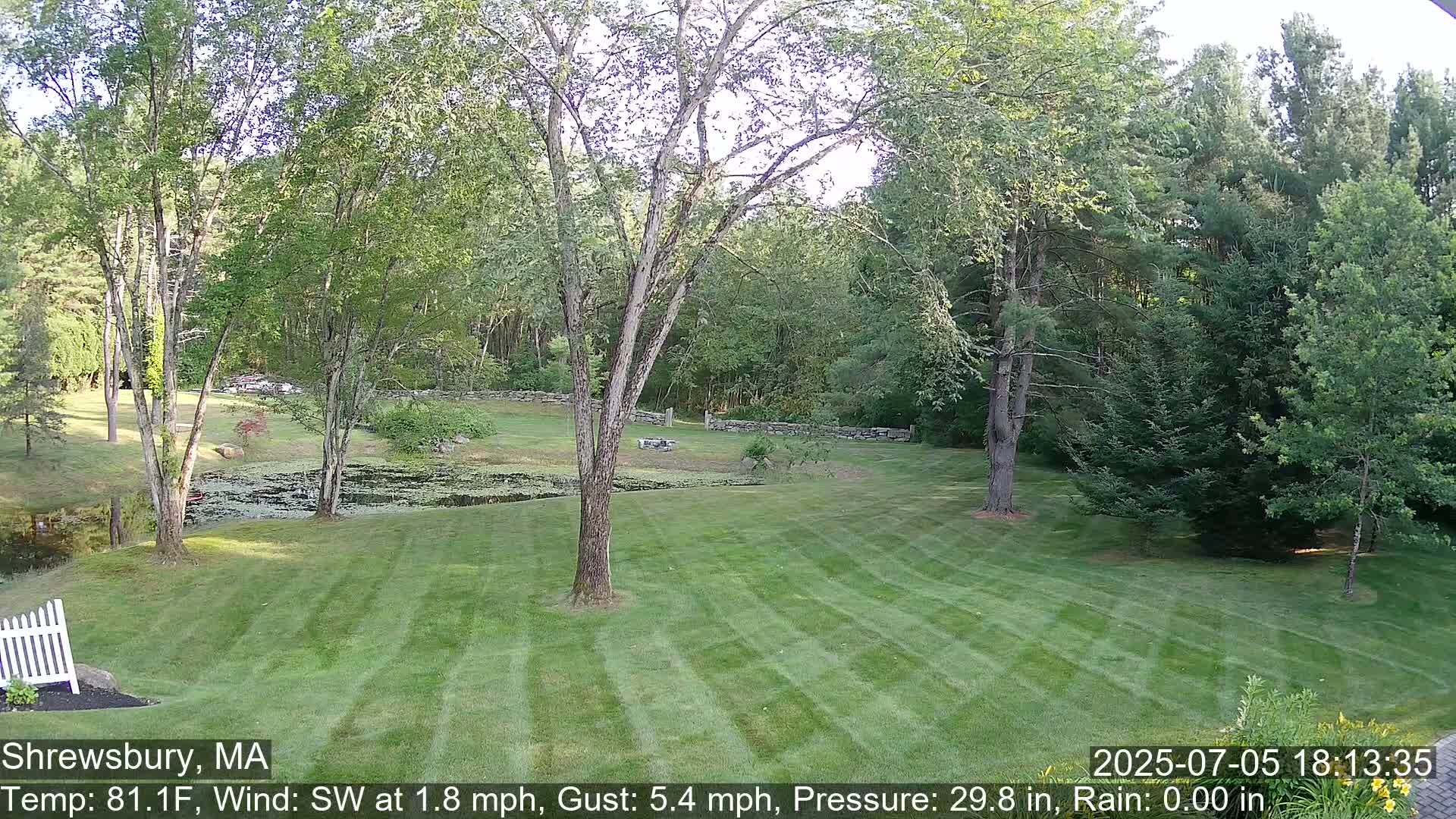 Scenic Pond and Trees Live Cam - Shrewsbury, Massachusetts , USA