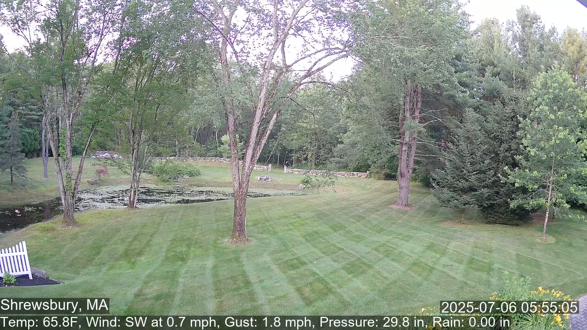 Scenic Pond and Trees Live Cam - Shrewsbury, Massachusetts , USA