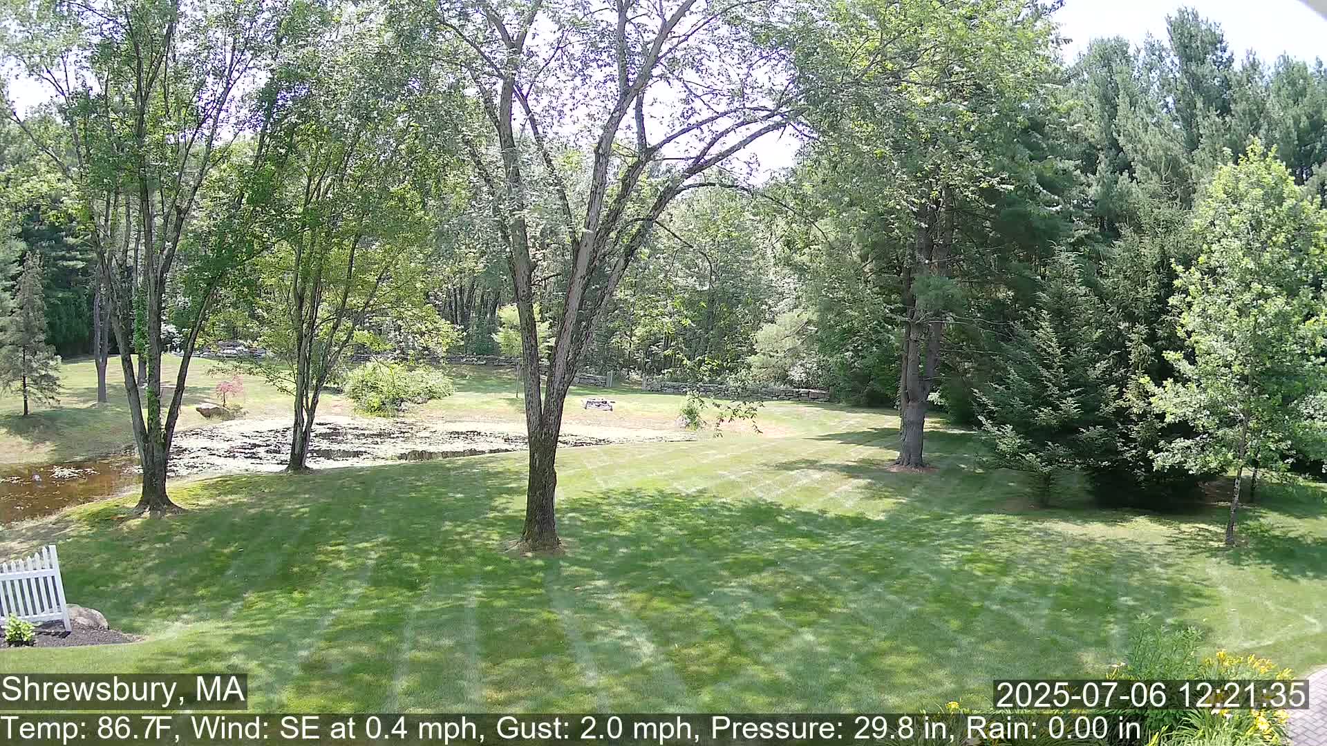 Scenic Pond and Trees Live Cam - Shrewsbury, Massachusetts , USA